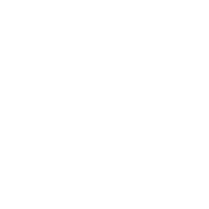 The ascent of technology – Harnessing the power of AI to elevate your SME