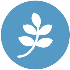 Going green – The financial benefits of investing in a cleaner future